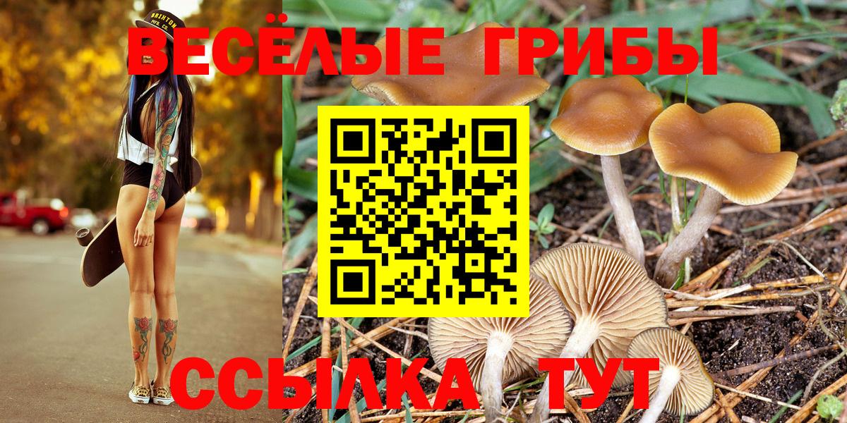 Псилоцибиновые грибы прущие грибы Ликино-Дулёво